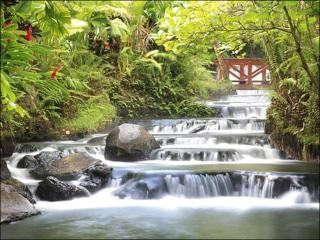 ארנאל Tabacon Grand Spa Thermal Resort מראה חיצוני תמונה